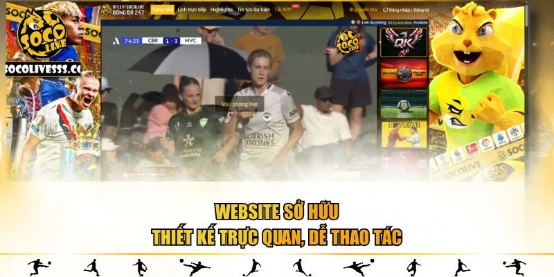 Website sở hữu thiết kế trực quan, dễ thao tác